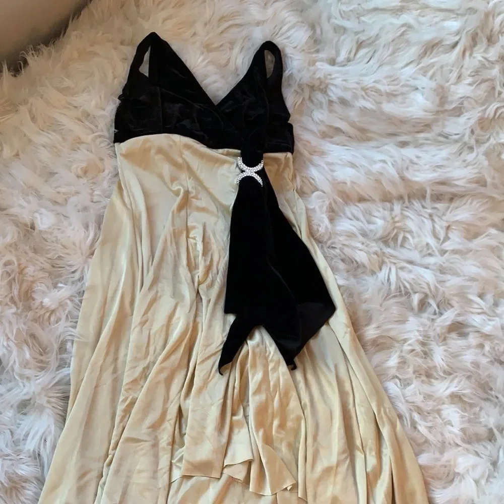 Black Velvet and Champagne Lyrical Dress